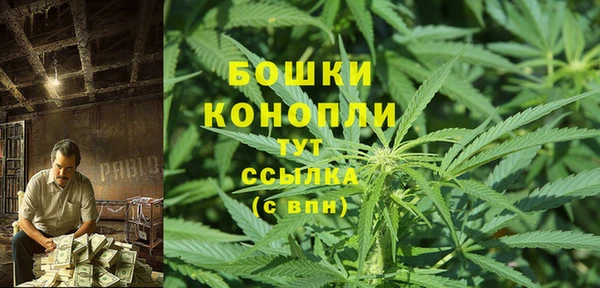 СК Козельск