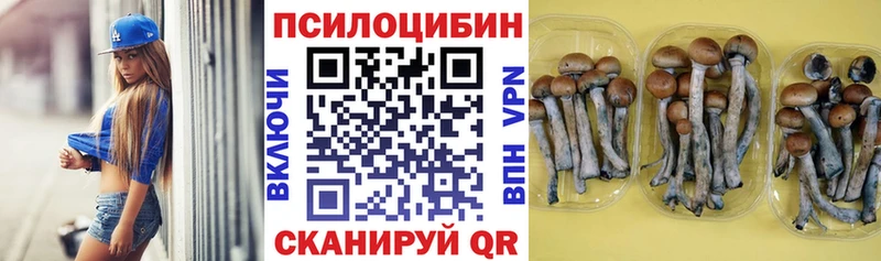 магазин продажи наркотиков  Циолковский  ОМГ ОМГ рабочий сайт  Псилоцибиновые грибы GOLDEN TEACHER 